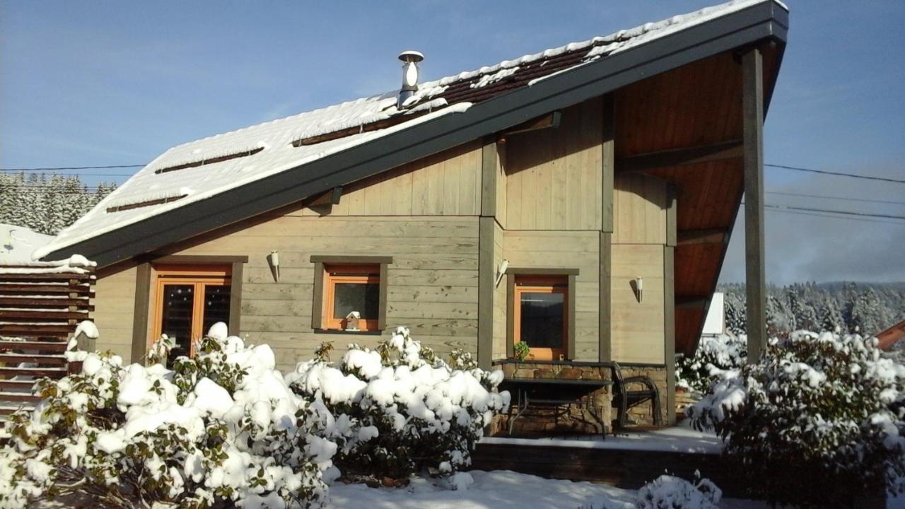 Chalet La Petite Perle Villa Gerardmer Ngoại thất bức ảnh