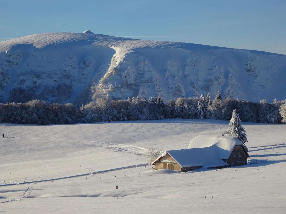 Chalet La Petite Perle Villa Gerardmer Ngoại thất bức ảnh