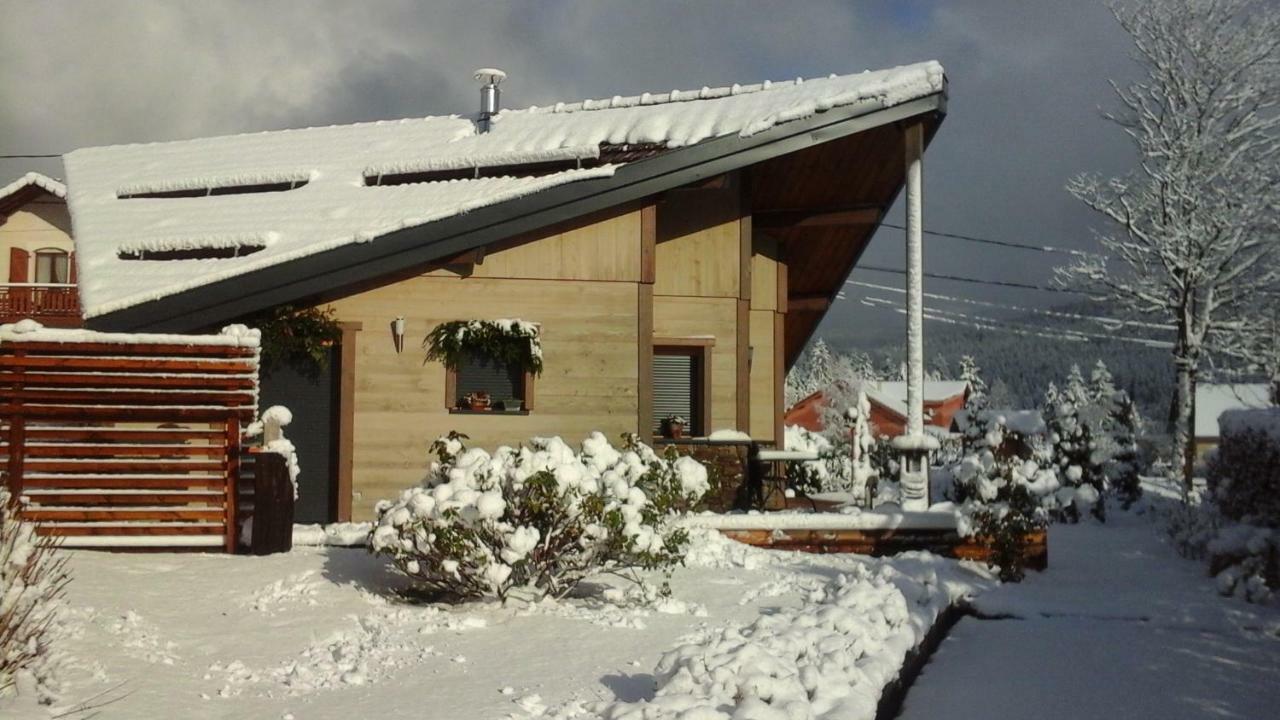 Chalet La Petite Perle Villa Gerardmer Ngoại thất bức ảnh