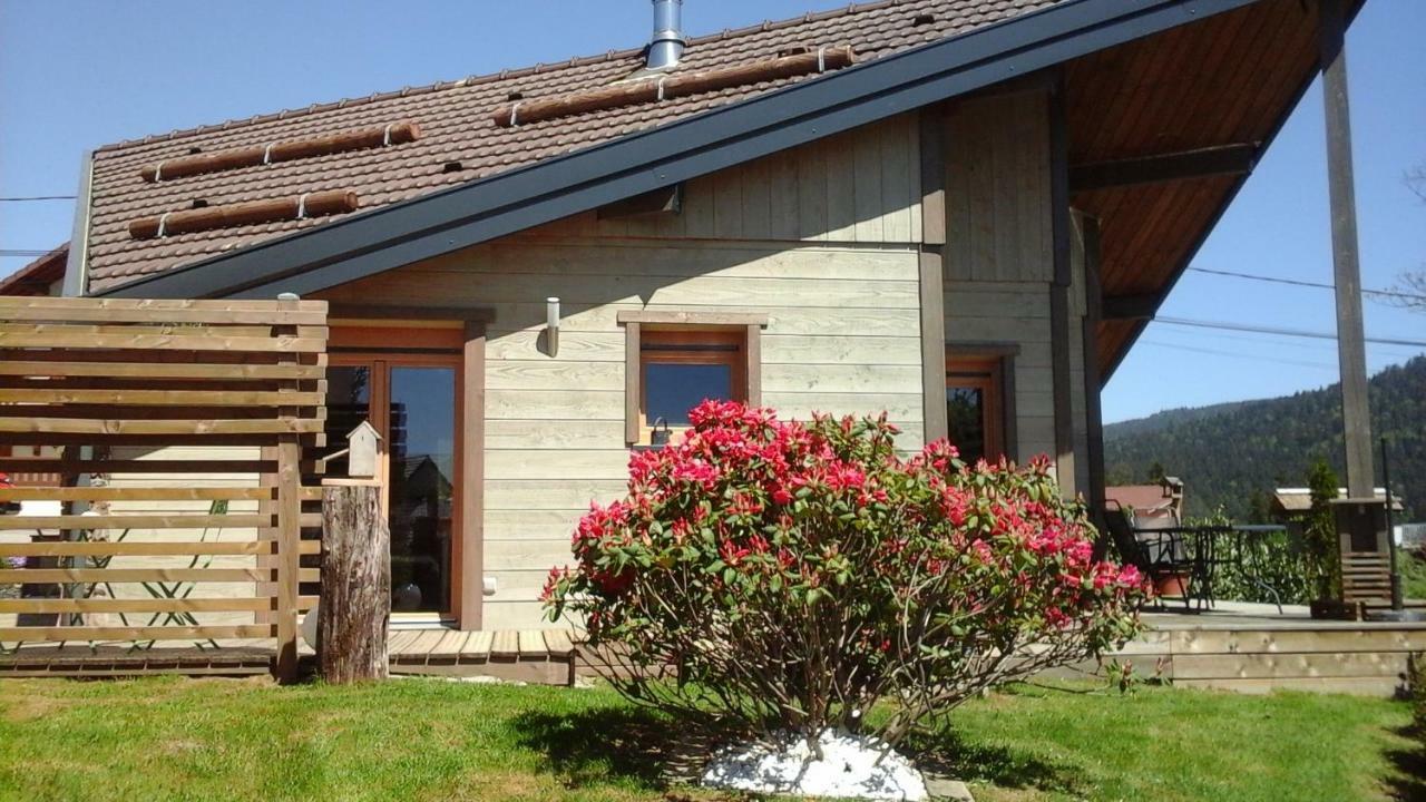 Chalet La Petite Perle Villa Gerardmer Ngoại thất bức ảnh